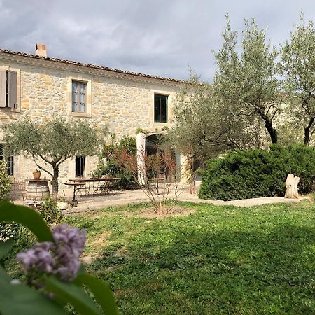 Le Coing Des Vignes Bed & Breakfast Mauressargues Dış mekan fotoğraf